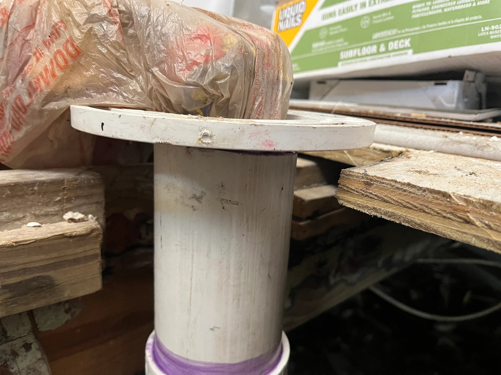 Toilet Flange & Shower Drain Installation St. Petersburg