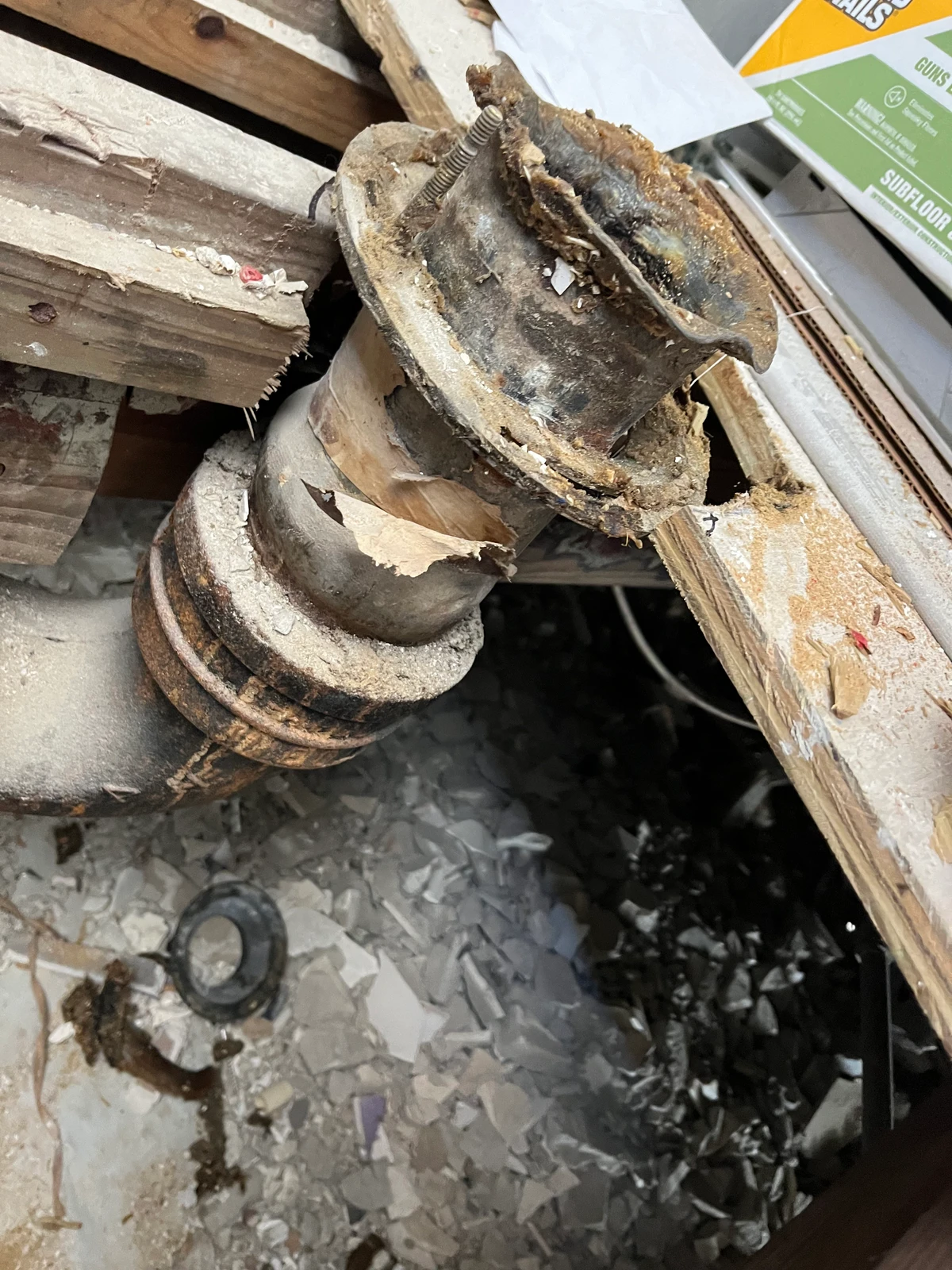 Toilet Flange & Shower Drain Installation St. Petersburg