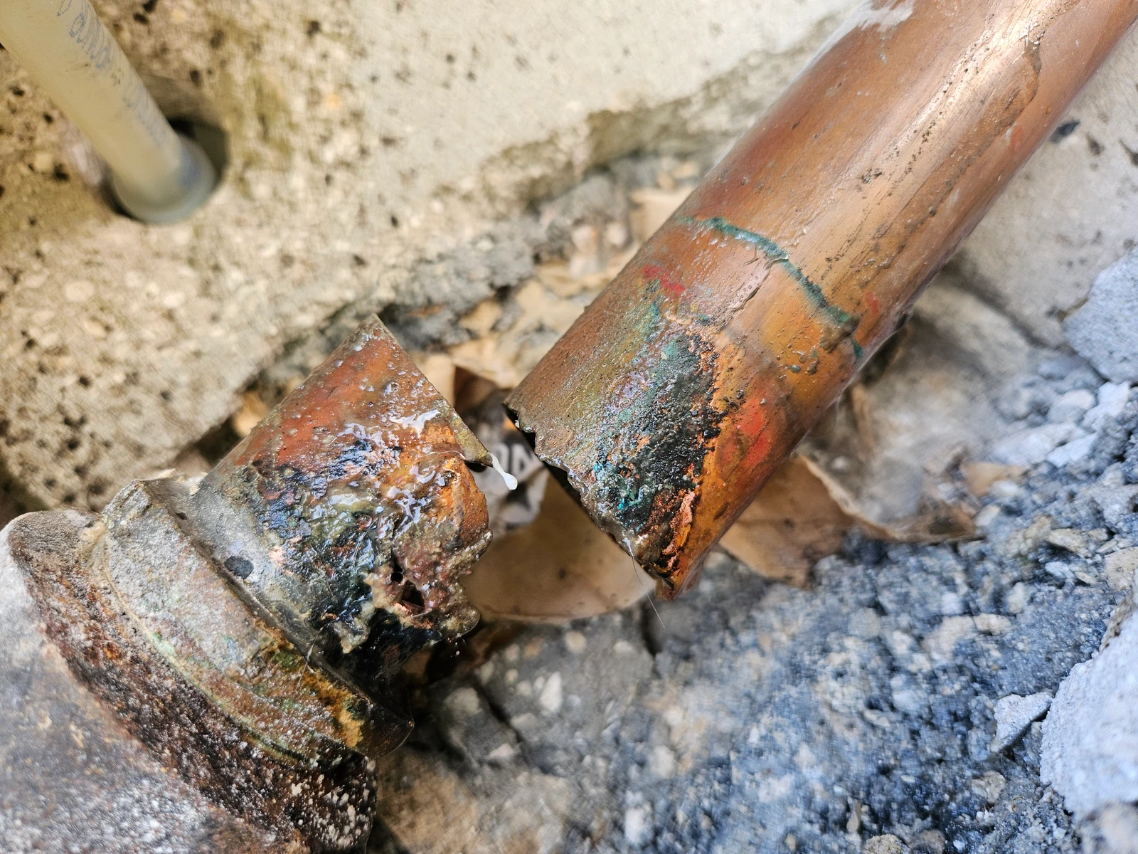 Waste Pipe Replacement Project in St. Petersburg, FL